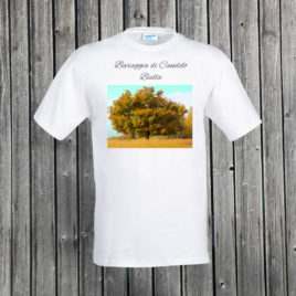 Biella – Baraggia di Candelo 01