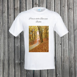 Biella – Parco della Burcina 01