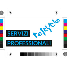 Controllo file professionale