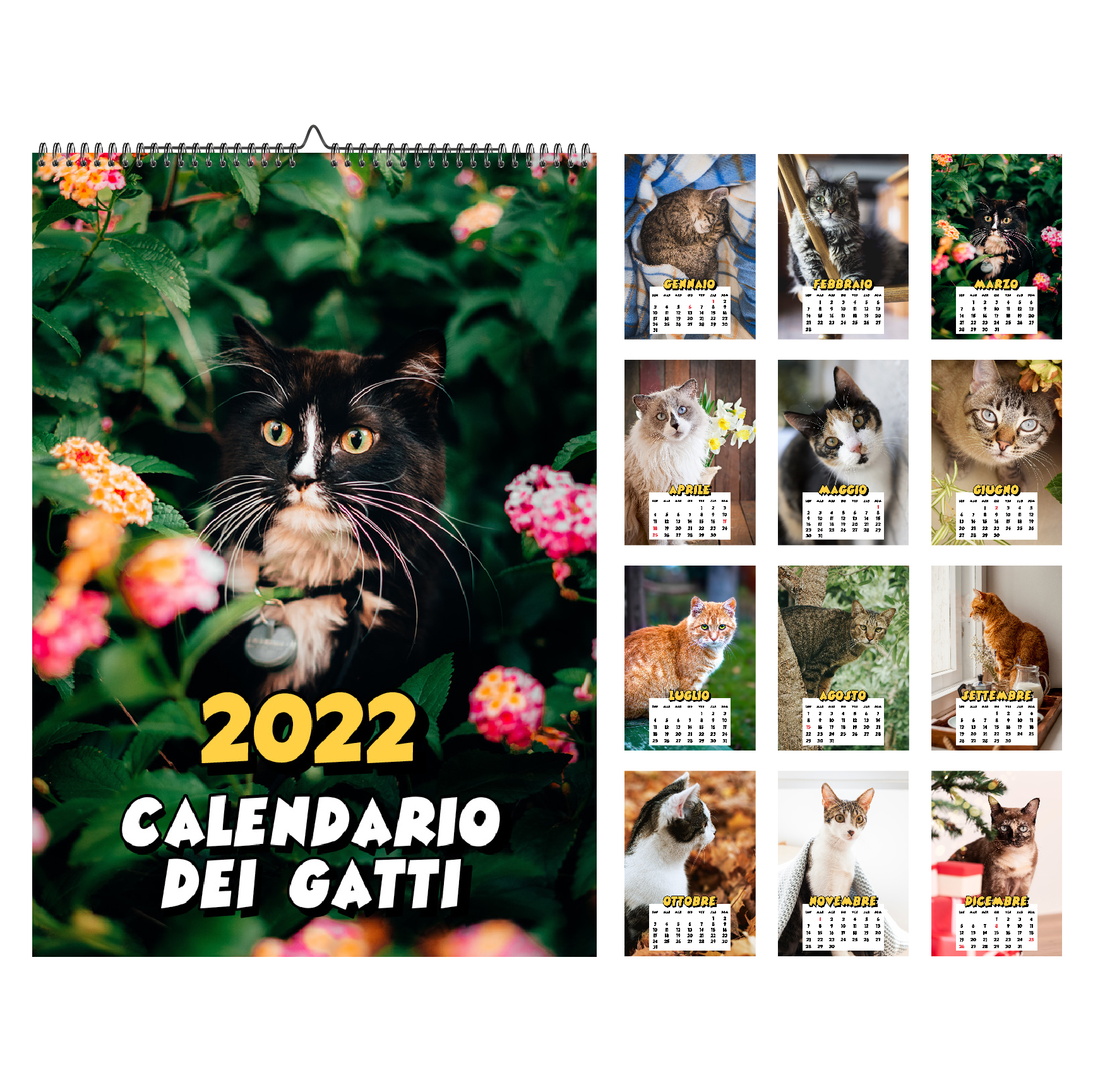 Animali GATTI Design Calendario per famiglie 2022 Planner da muro 228 adesivi Tutti i giorni festivi 23x43cm Carino Decorazione 5 Colonne Belle foto di gatti Planner da parete 