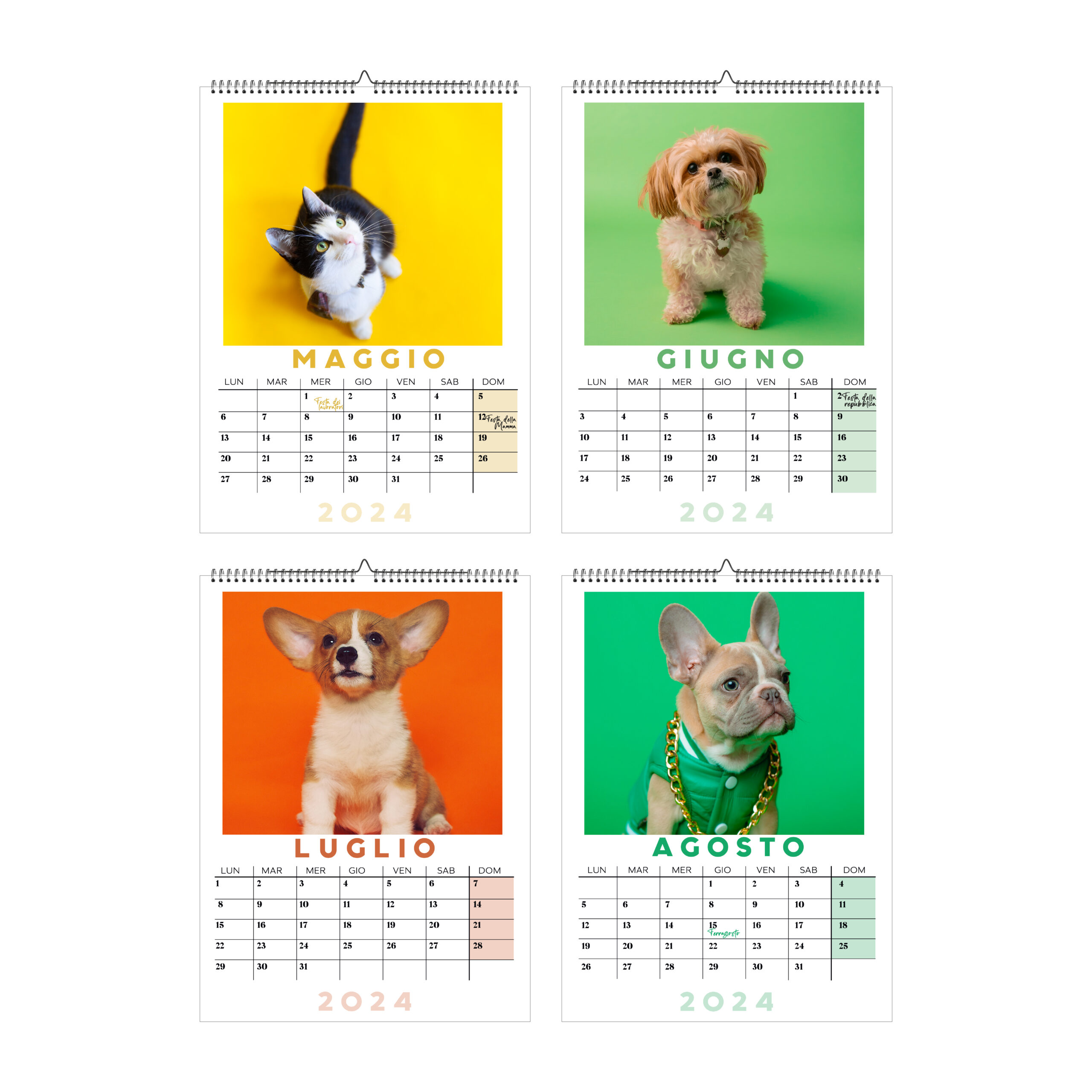 Calendario cani e gatti 2024 | Grafica, Stampa e Web | Feltyde